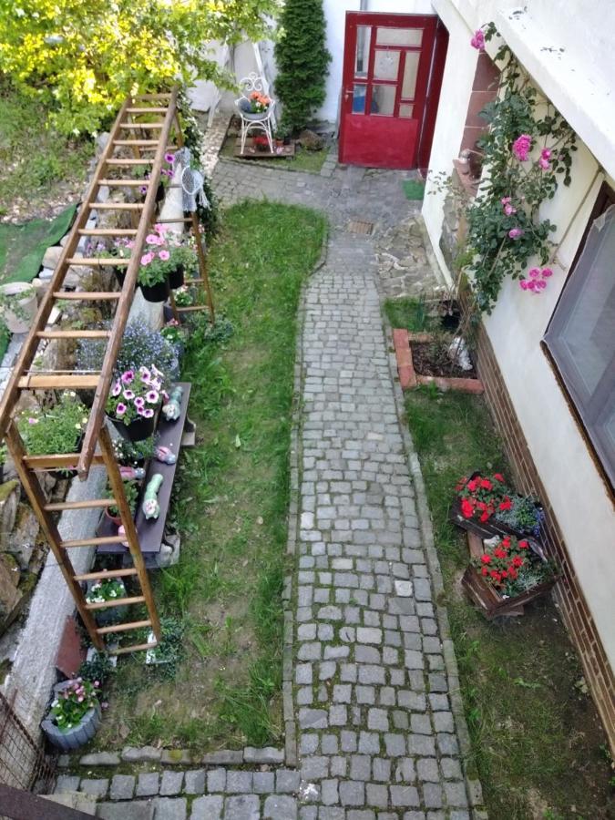 Salaš-dům pro společnou dovolenou až 14 osob Exteriér fotografie
